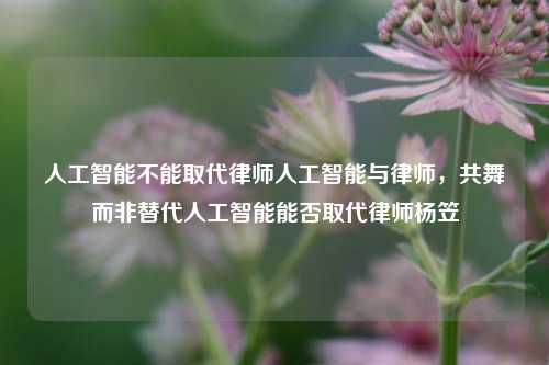 人工智能不能取代律师人工智能与律师，共舞而非替代人工智能能否取代律师杨笠