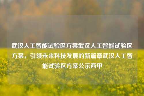 武汉人工智能试验区方案武汉人工智能试验区方案，引领未来科技发展的新篇章武汉人工智能试验区方案公示西甲