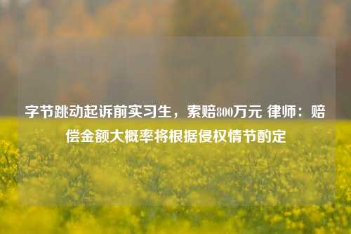 字节跳动起诉前实习生，索赔800万元 律师：赔偿金额大概率将根据侵权情节酌定