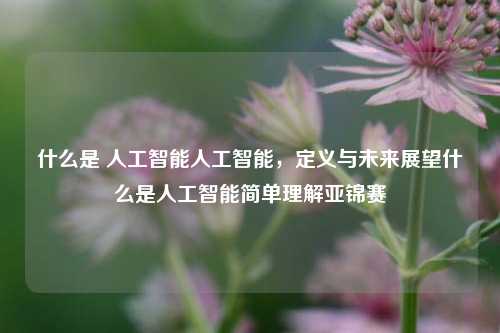 什么是 人工智能人工智能，定义与未来展望什么是人工智能简单理解亚锦赛