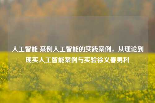 人工智能 案例人工智能的实践案例，从理论到现实人工智能案例与实验徐义春男科