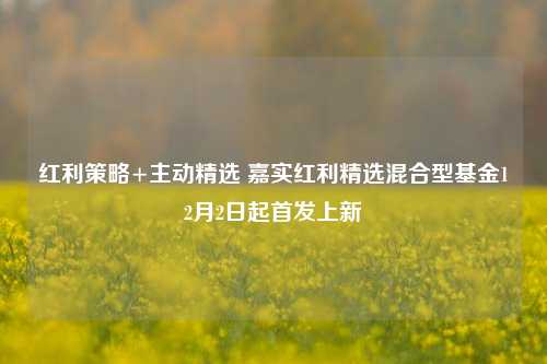 红利策略+主动精选 嘉实红利精选混合型基金12月2日起首发上新