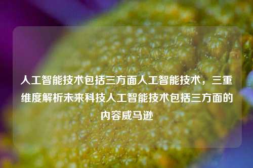 人工智能技术包括三方面人工智能技术，三重维度解析未来科技人工智能技术包括三方面的内容威马逊