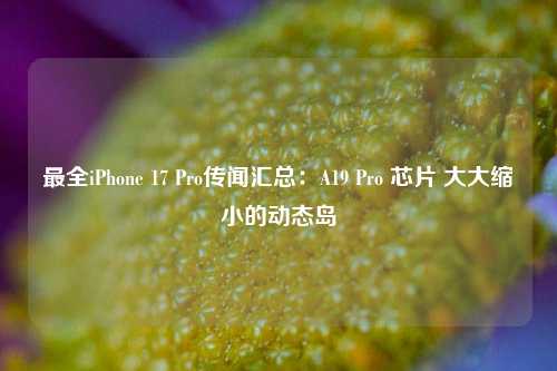 最全iPhone 17 Pro传闻汇总：A19 Pro 芯片 大大缩小的动态岛