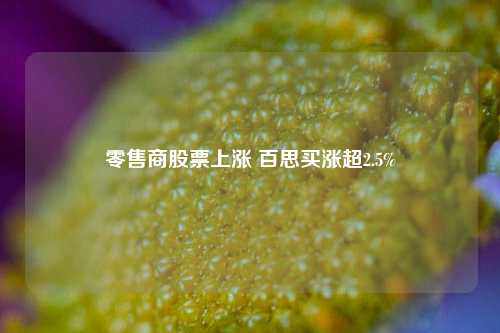 零售商股票上涨 百思买涨超2.5%