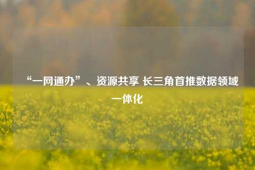 “一网通办”、资源共享 长三角首推数据领域一体化