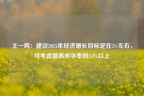 王一鸣：建议2025年经济增长目标定在5%左右，可考虑提高赤字率到3.8%以上