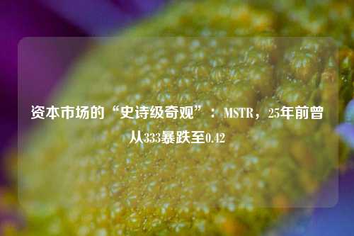 资本市场的“史诗级奇观”：MSTR，25年前曾从333暴跌至0.42