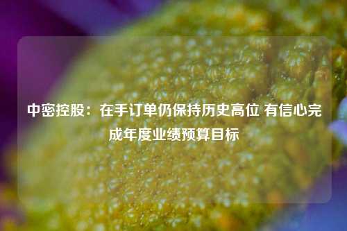 中密控股：在手订单仍保持历史高位 有信心完成年度业绩预算目标