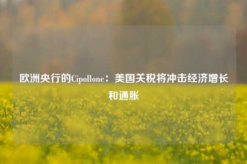 欧洲央行的Cipollone：美国关税将冲击经济增长和通胀