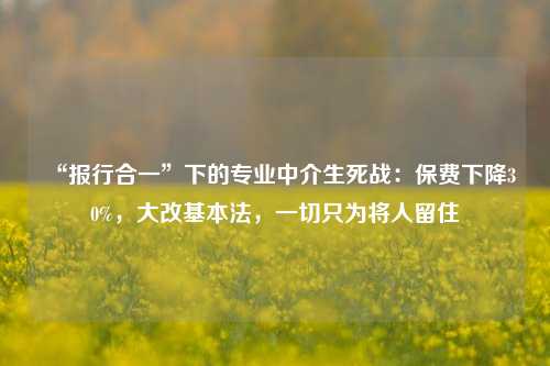 “报行合一”下的专业中介生死战：保费下降30%，大改基本法，一切只为将人留住