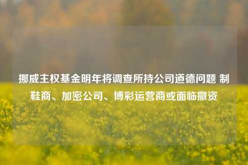 挪威主权基金明年将调查所持公司道德问题 制鞋商、加密公司、博彩运营商或面临撤资