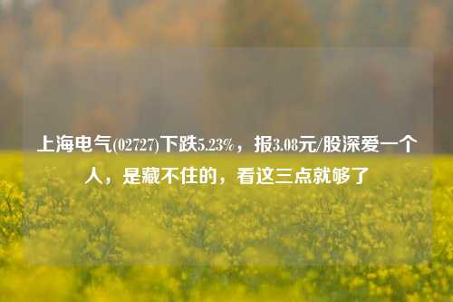 上海电气(02727)下跌5.23%，报3.08元/股深爱一个人，是藏不住的，看这三点就够了