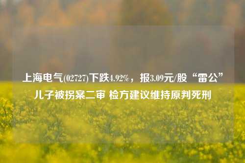 上海电气(02727)下跌4.92%，报3.09元/股“雷公”儿子被拐案二审 检方建议维持原判死刑