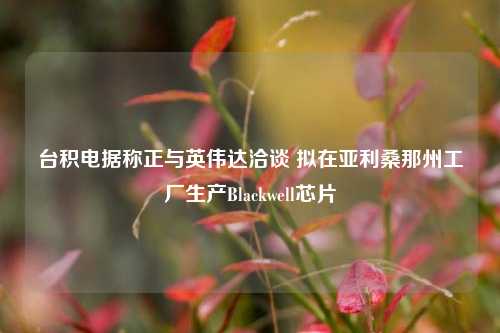 台积电据称正与英伟达洽谈 拟在亚利桑那州工厂生产Blackwell芯片