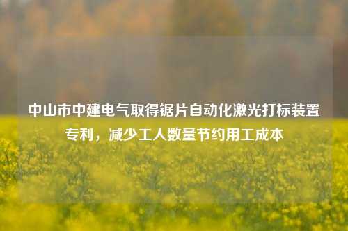 中山市中建电气取得锯片自动化激光打标装置专利，减少工人数量节约用工成本