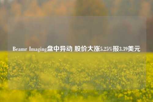 Beamr Imaging盘中异动 股价大涨5.25%报3.39美元