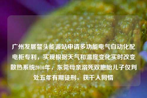 广州发展鳌头能源站申请多功能电气自动化配电柜专利，实现根据天气和温度变化实时改变散热系统2010年，东莞母亲溺死双胞胎儿子仅判处五年有期徒刑，获千人同情