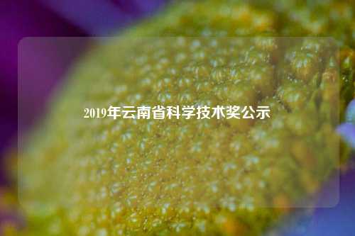 2019年云南省科学技术奖公示