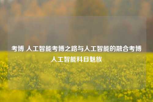 考博 人工智能考博之路与人工智能的融合考博人工智能科目魅族