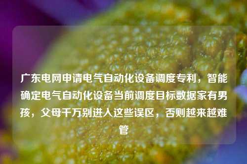 广东电网申请电气自动化设备调度专利，智能确定电气自动化设备当前调度目标数据家有男孩，父母千万别进入这些误区，否则越来越难管