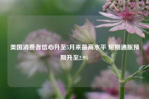 美国消费者信心升至5月来最高水平 短期通胀预期升至2.9%