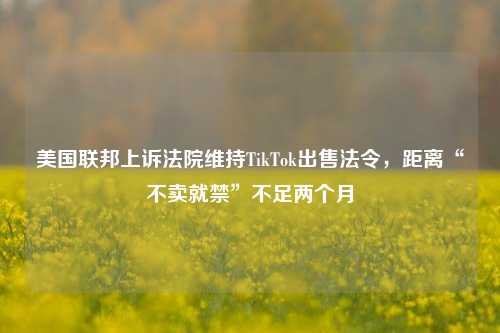 美国联邦上诉法院维持TikTok出售法令，距离“不卖就禁”不足两个月