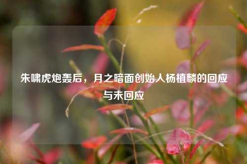 朱啸虎炮轰后，月之暗面创始人杨植麟的回应与未回应