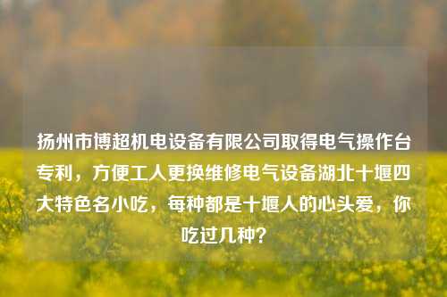 扬州市博超机电设备有限公司取得电气操作台专利，方便工人更换维修电气设备湖北十堰四大特色名小吃，每种都是十堰人的心头爱，你吃过几种？