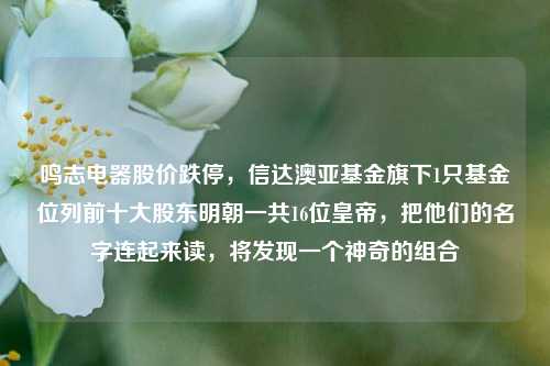 鸣志电器股价跌停，信达澳亚基金旗下1只基金位列前十大股东明朝一共16位皇帝，把他们的名字连起来读，将发现一个神奇的组合