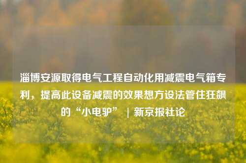 淄博安源取得电气工程自动化用减震电气箱专利，提高此设备减震的效果想方设法管住狂飙的“小电驴” | 新京报社论