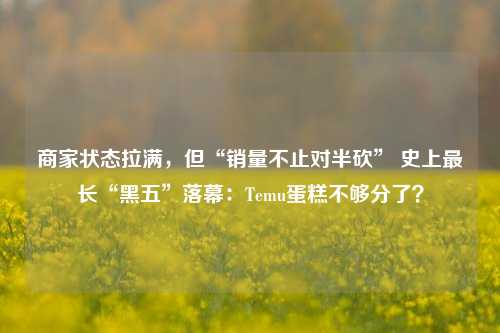 商家状态拉满，但“销量不止对半砍” 史上最长“黑五”落幕：Temu蛋糕不够分了？