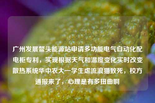 广州发展鳌头能源站申请多功能电气自动化配电柜专利，实现根据天气和温度变化实时改变散热系统华中农大一学生虐流浪猫致死，校方通报来了，心理是有多扭曲啊