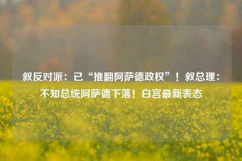 叙反对派：已“推翻阿萨德政权”！叙总理：不知总统阿萨德下落！白宫最新表态