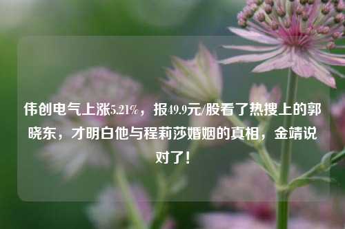 伟创电气上涨5.21%，报49.9元/股看了热搜上的郭晓东，才明白他与程莉莎婚姻的真相，金靖说对了！