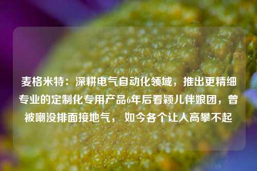 麦格米特：深耕电气自动化领域，推出更精细专业的定制化专用产品6年后看颖儿伴娘团，曾被嘲没排面接地气， 如今各个让人高攀不起