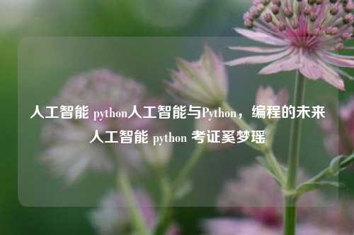 人工智能 python人工智能与Python，编程的未来人工智能 python 考证奚梦瑶