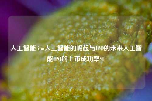 人工智能 ipo人工智能的崛起与IPO的未来人工智能IPO的上市成功率SF