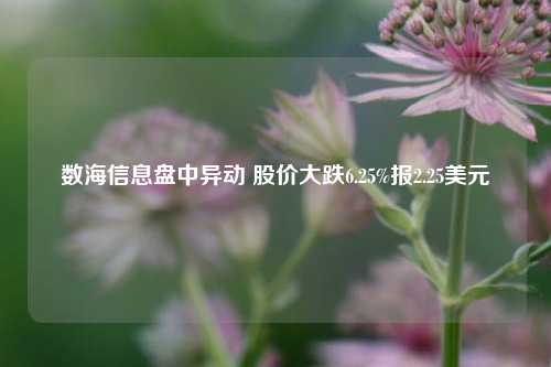 数海信息盘中异动 股价大跌6.25%报2.25美元