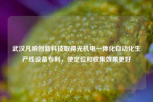 武汉凡响创新科技取得光机电一体化自动化生产线设备专利，使定位和收集效果更好