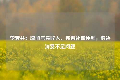 李若谷：增加居民收入、完善社保体制，解决消费不足问题