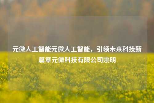 元微人工智能元微人工智能，引领未来科技新篇章元微科技有限公司姚明