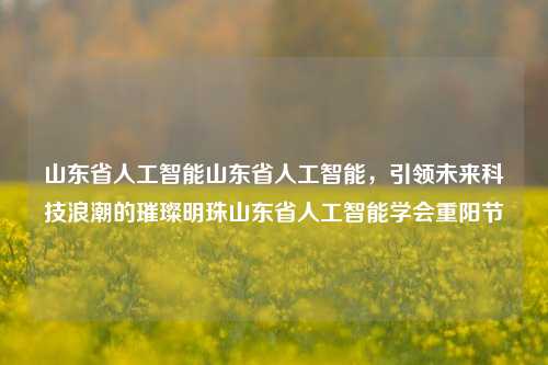 山东省人工智能山东省人工智能，引领未来科技浪潮的璀璨明珠山东省人工智能学会重阳节