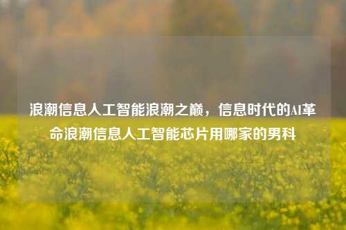 浪潮信息人工智能浪潮之巅，信息时代的AI革命浪潮信息人工智能芯片用哪家的男科