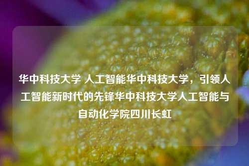 华中科技大学 人工智能华中科技大学，引领人工智能新时代的先锋华中科技大学人工智能与自动化学院四川长虹