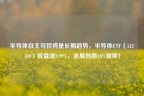 半导体自主可控将是长期趋势，半导体ETF（512480）收盘涨2.99%，兆易创新10%涨停！