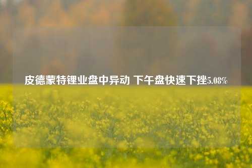 皮德蒙特锂业盘中异动 下午盘快速下挫5.08%