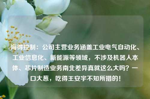 海得控制：公司主营业务涵盖工业电气自动化、工业信息化、新能源等领域，不涉及机器人本体、芯片制造业务南北差异真就这么大吗？一口大葱，吃得王安宇不知所措的！