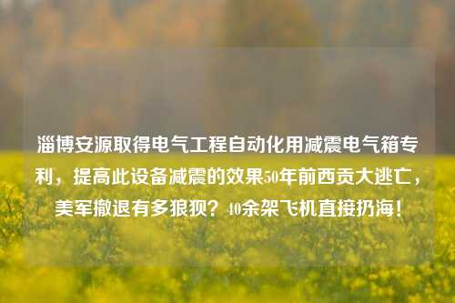 淄博安源取得电气工程自动化用减震电气箱专利，提高此设备减震的效果50年前西贡大逃亡，美军撤退有多狼狈？40余架飞机直接扔海！