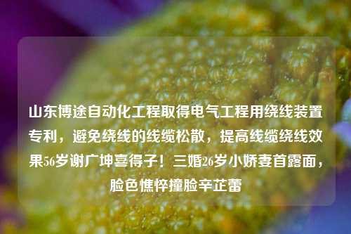 山东博途自动化工程取得电气工程用绕线装置专利，避免绕线的线缆松散，提高线缆绕线效果56岁谢广坤喜得子！三婚26岁小娇妻首露面，脸色憔悴撞脸辛芷蕾